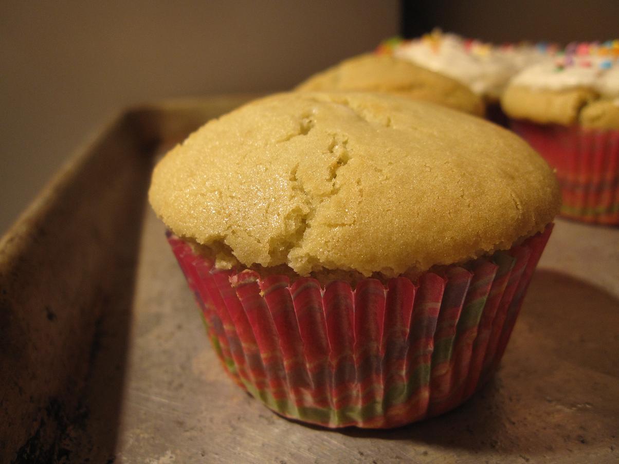 cupcake plain