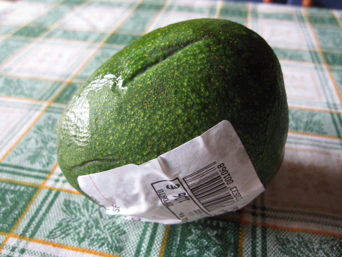 avocado