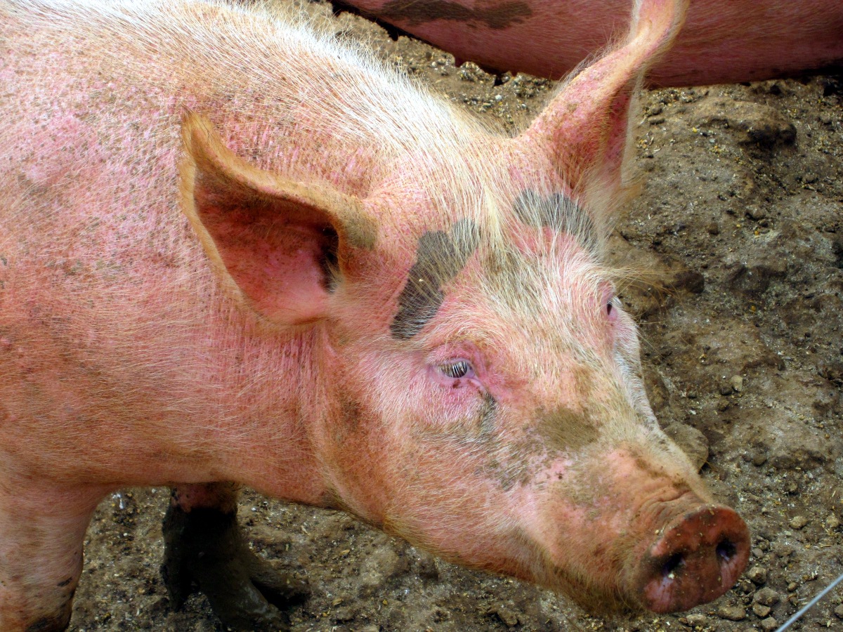 IMG_5689