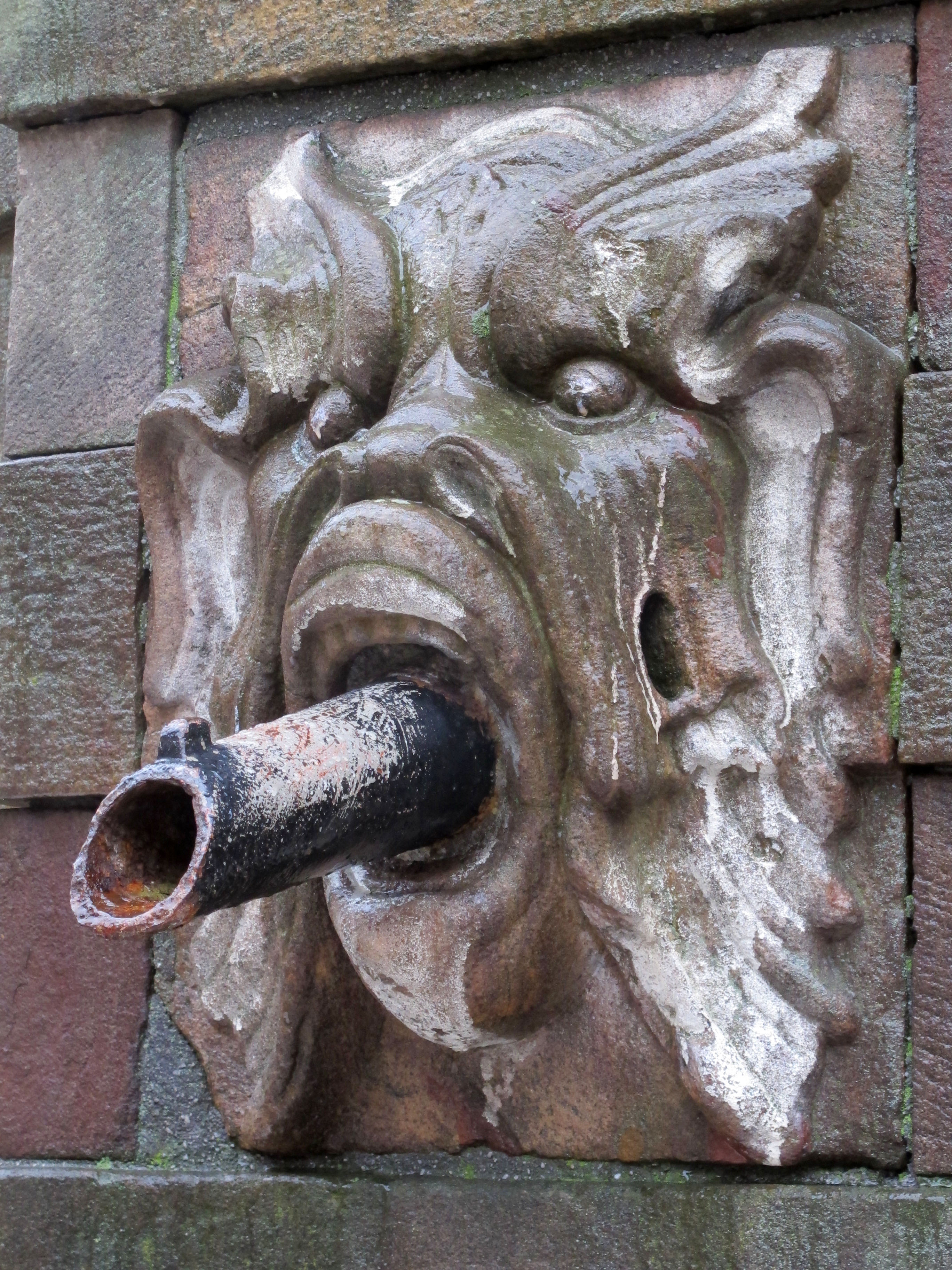Lion spout